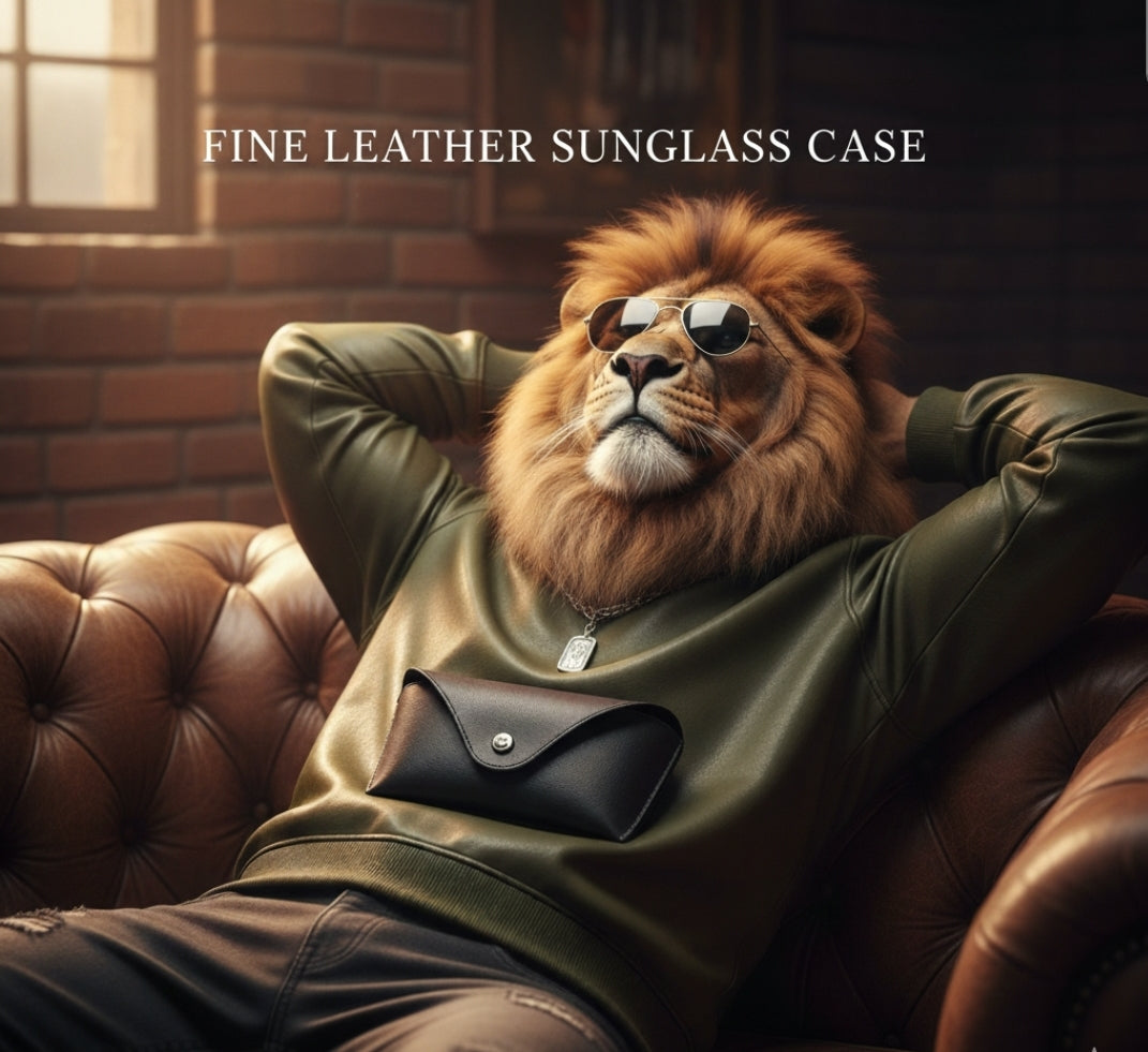 Sunglasses Case